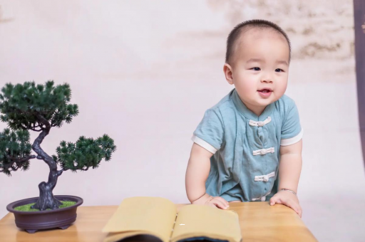 营口可爱的企鹅宝宝